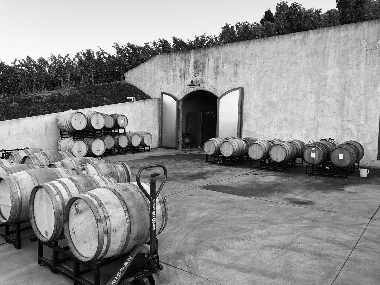 Forthright Winery CrushPad Barrel Work